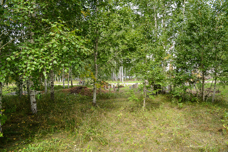 DSC_3858.jpg